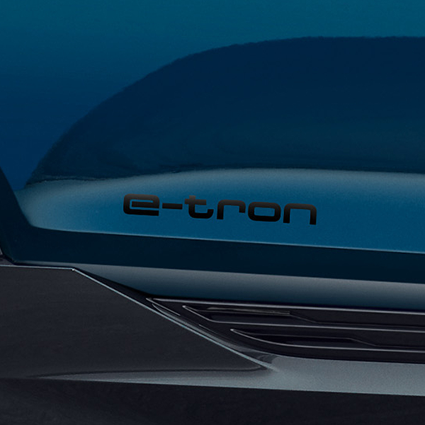 e-tron デコラティブフィルム(Audi Q6 / SQ6 e-tron ブラック)