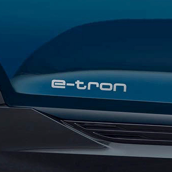 e-tron デコラティブフィルム(Audi Q6 / SQ6 e-tron シルバー)
