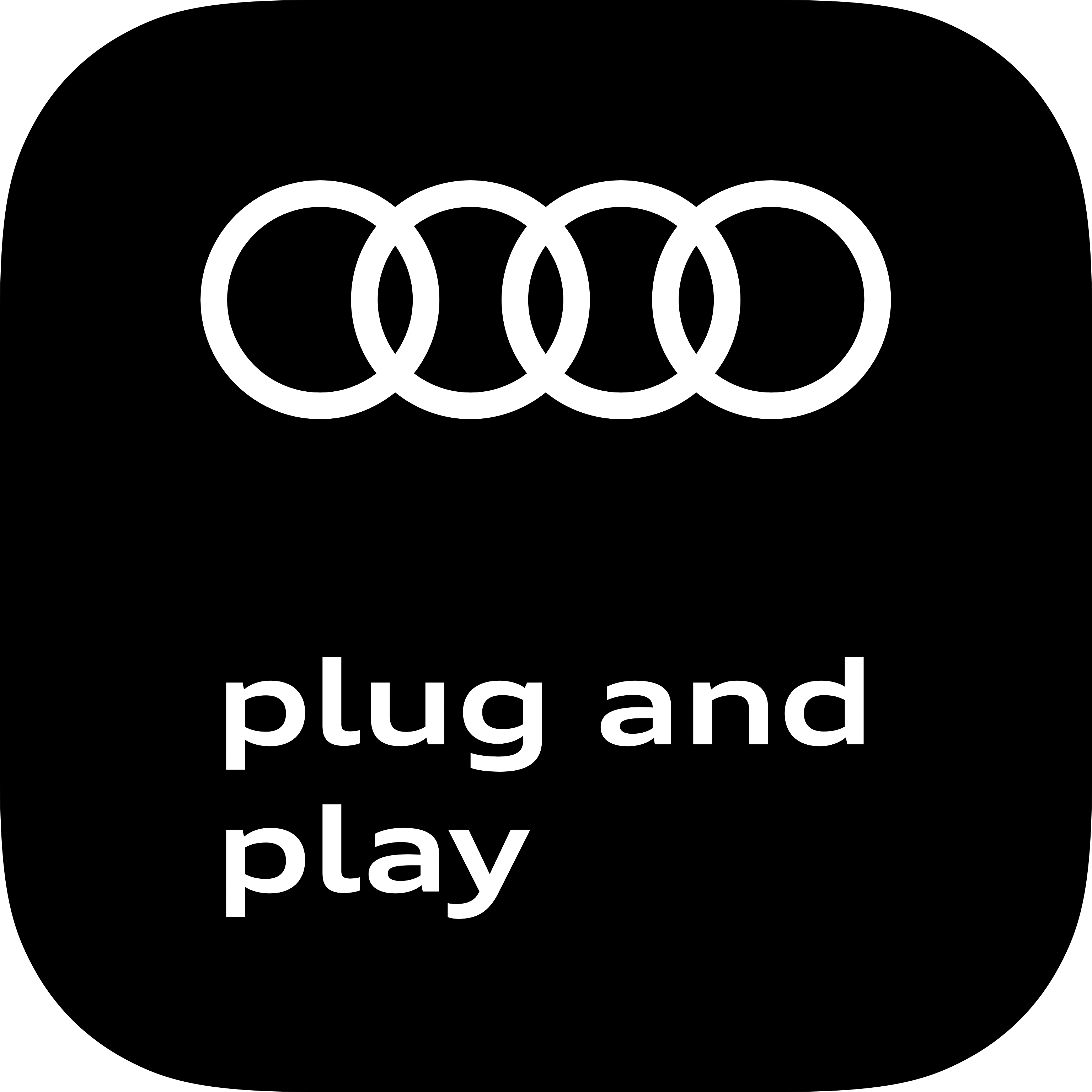 Audi connect plug and play